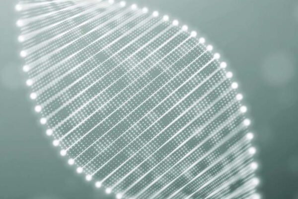 polynucleotides in facial aesthetics