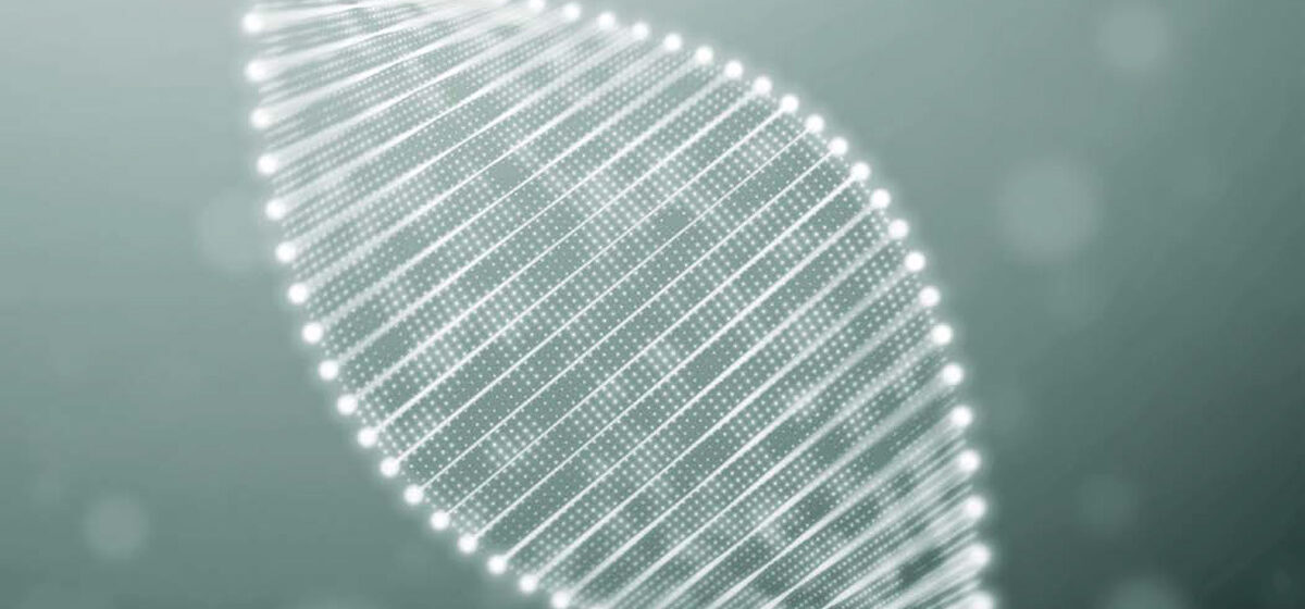 polynucleotides in facial aesthetics